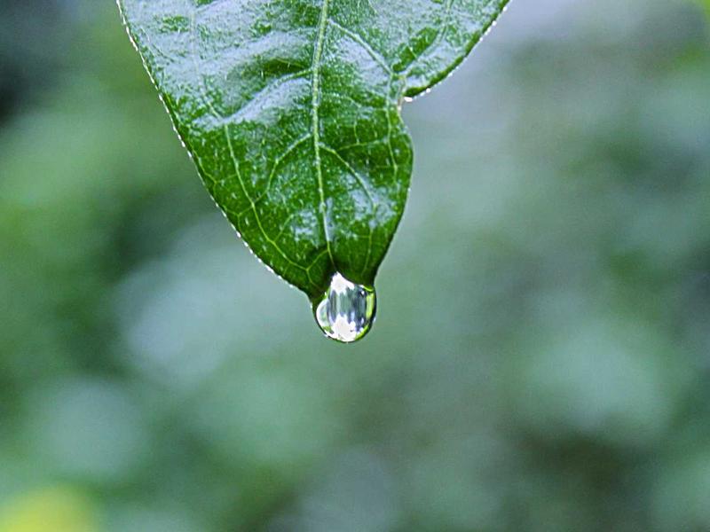 短视频引流变现<br>热门推荐玩法带货涨粉指南